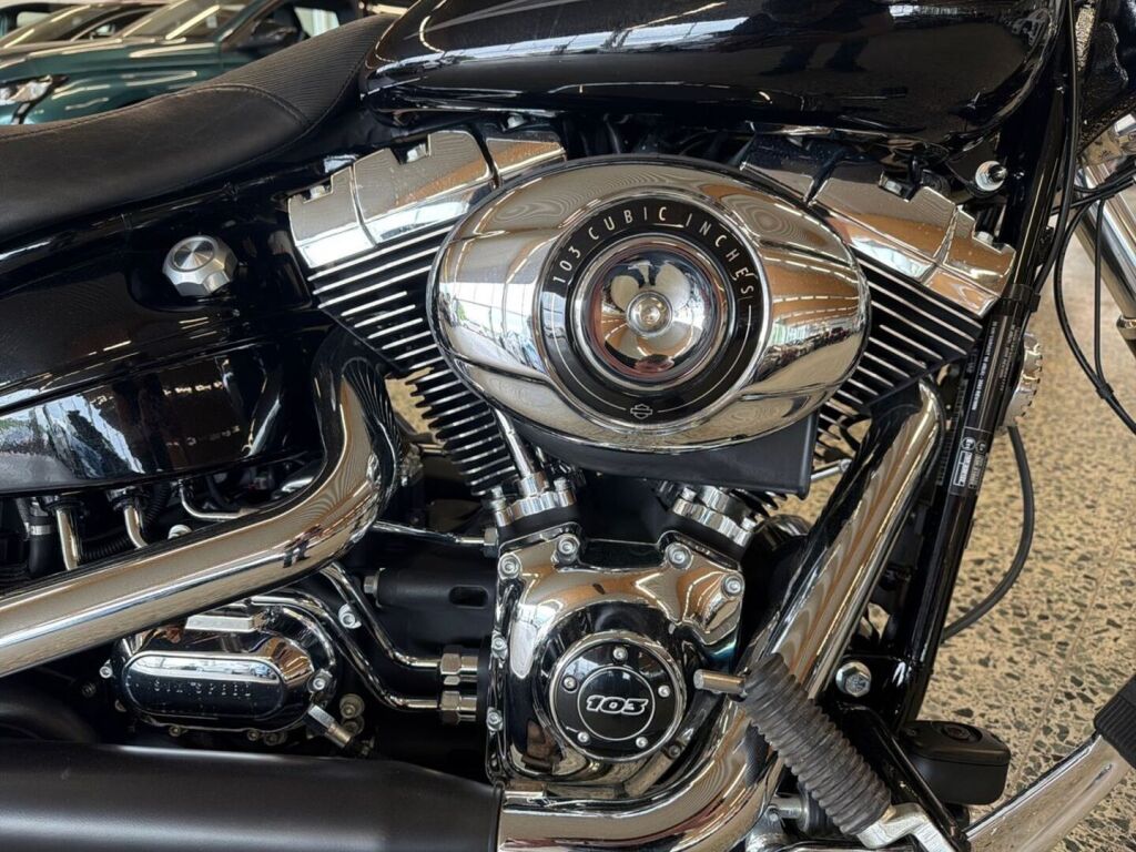 Harley-davidson SOFTAIL 2013 