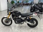 Triumph SCRAMBLER 2021 