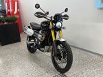 Triumph SCRAMBLER 2021 