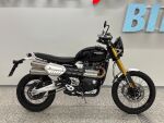 Triumph SCRAMBLER 2021 