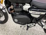 Triumph SCRAMBLER 2021 