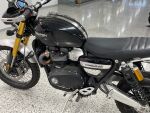 Triumph SCRAMBLER 2021 