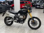 Triumph SCRAMBLER 2021 