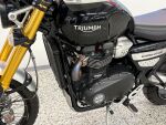 Triumph SCRAMBLER 2021 