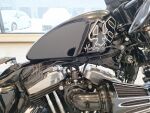 Harley-davidson SPORTSTER 2014 