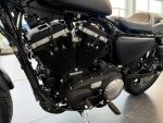 Harley-davidson SPORTSTER 2021 