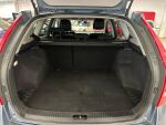 Kia Ceed 2009 Sininen
