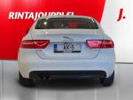 Jaguar XE 2015 Valkoinen