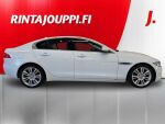 Jaguar XE 2015 Valkoinen