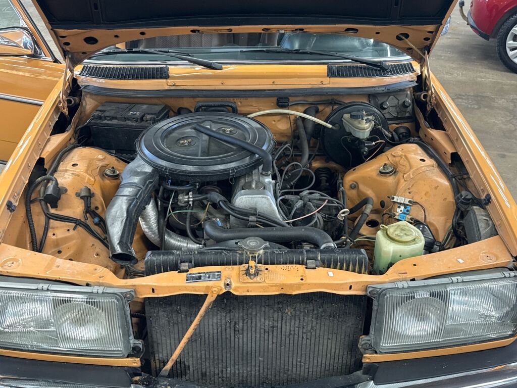 Mercedes-Benz 250 1979 Ruskea (beige)