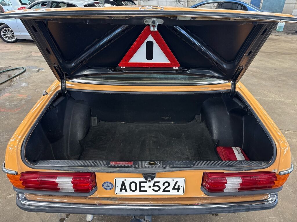 Mercedes-Benz 250 1979 Ruskea (beige)