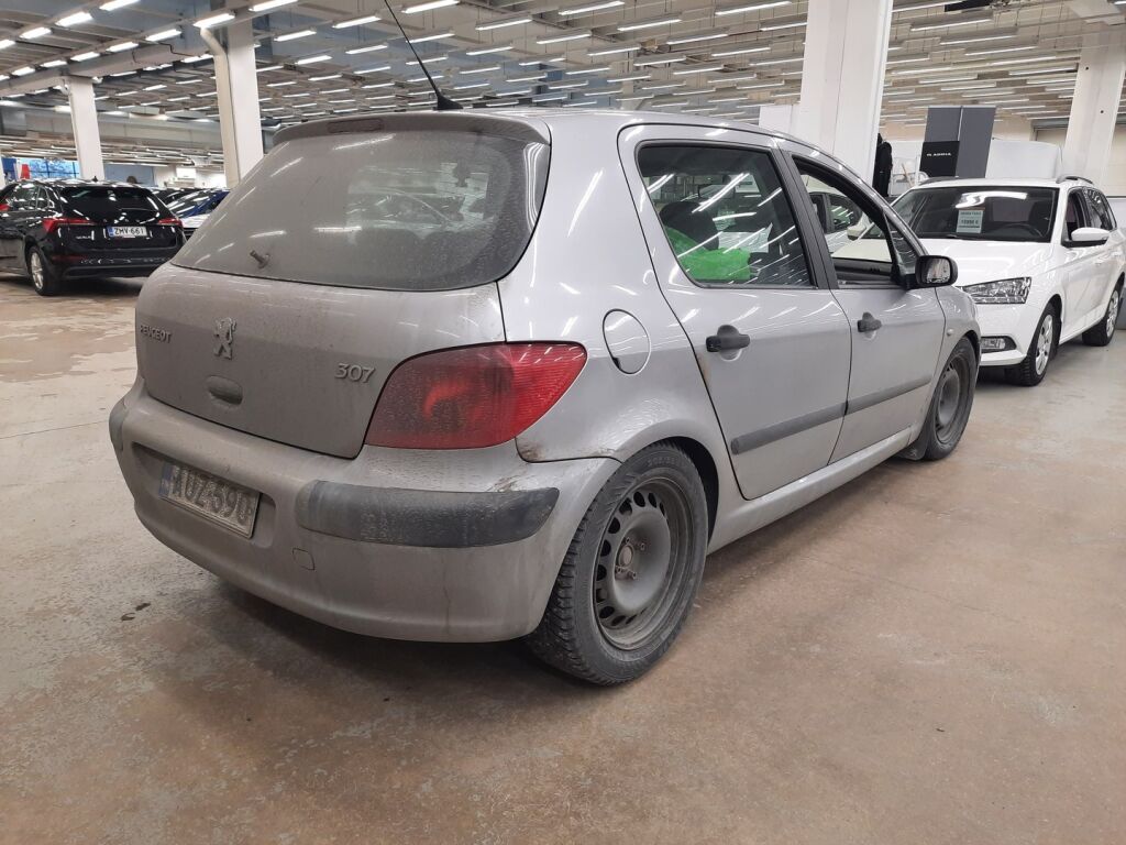 Peugeot 307 2003 Harmaa