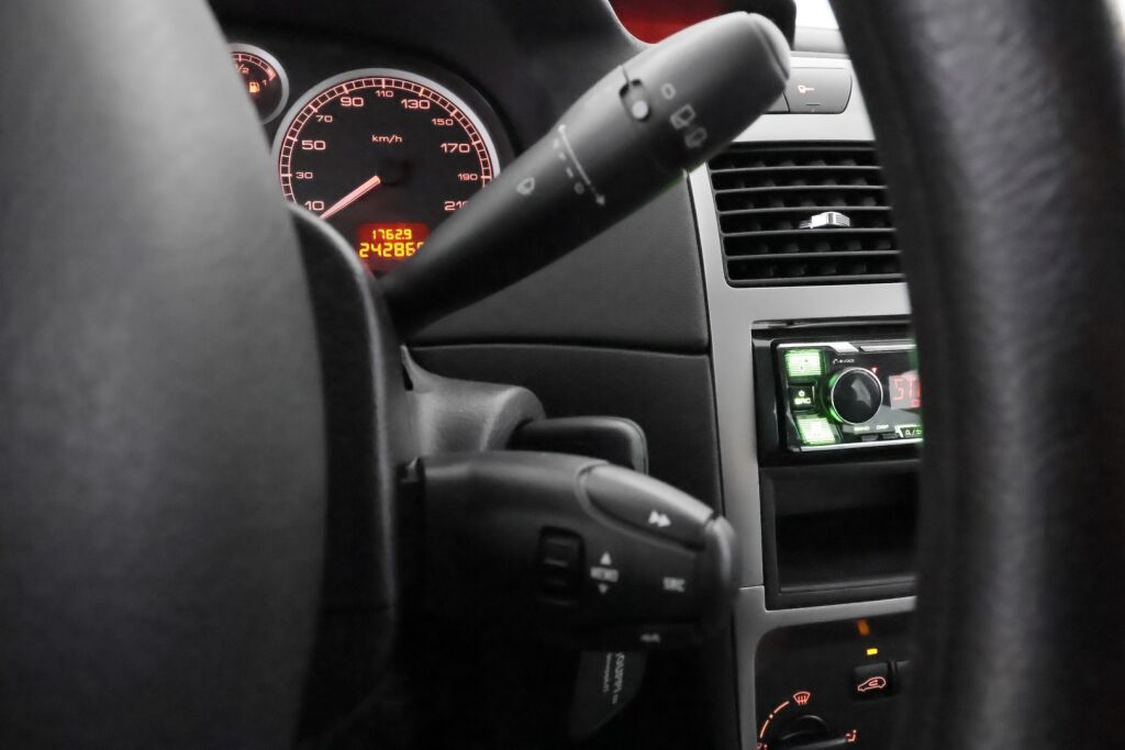 Peugeot 307 2003 Harmaa