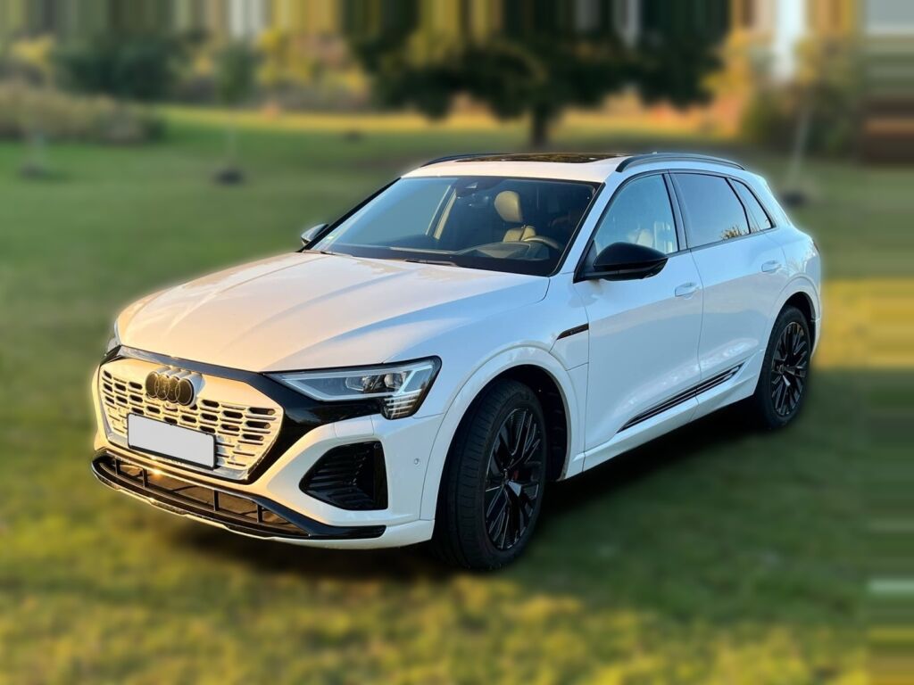 Audi Q8 e-tron 2024 