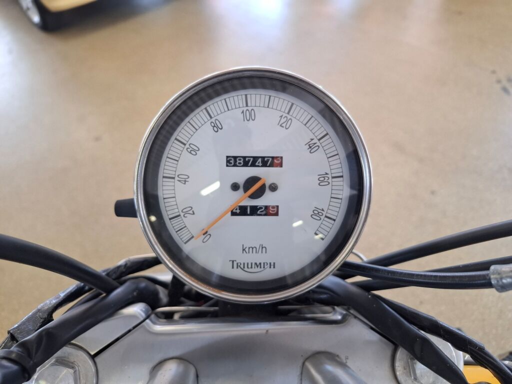 Triumph Speedmaster 2003 moniväri