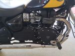 Triumph Speedmaster 2003 moniväri