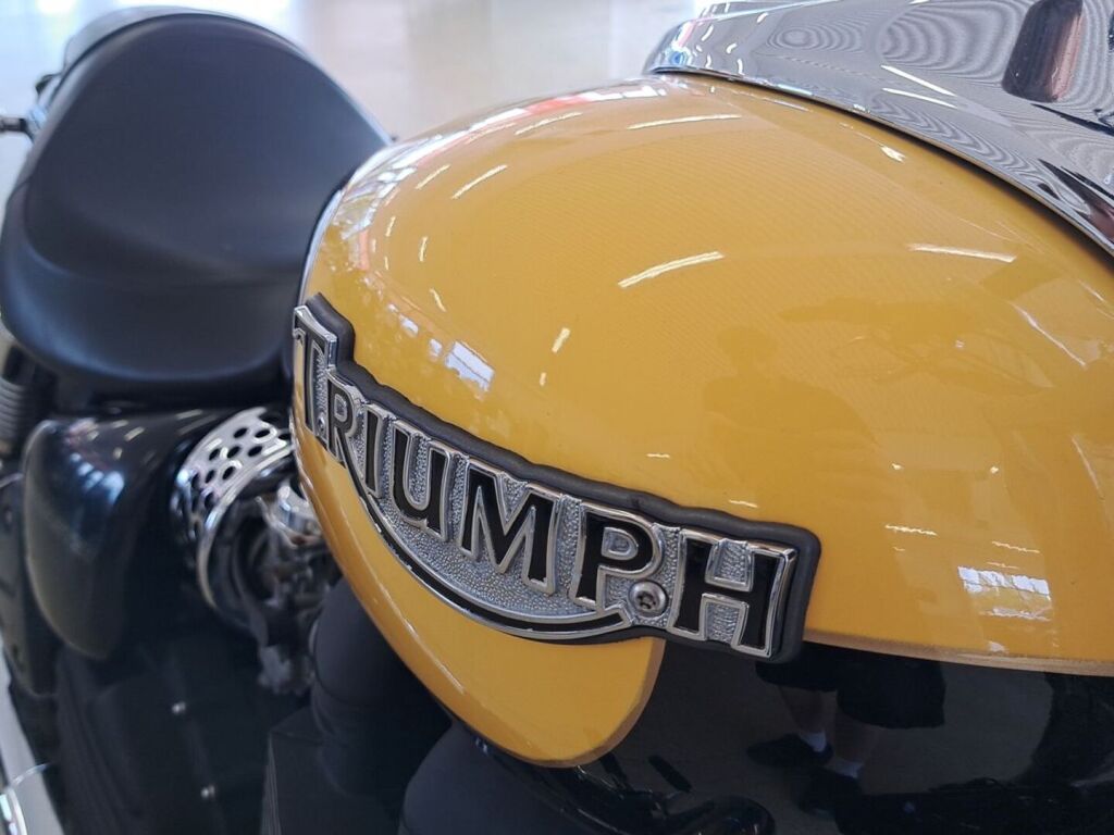 Triumph Speedmaster 2003 moniväri