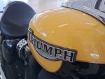 Triumph Speedmaster 2003 moniväri