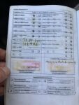 Volkswagen Transporter 2010 Ruskea (beige)