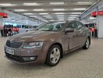 Skoda Octavia 2014 Ruskea (beige)