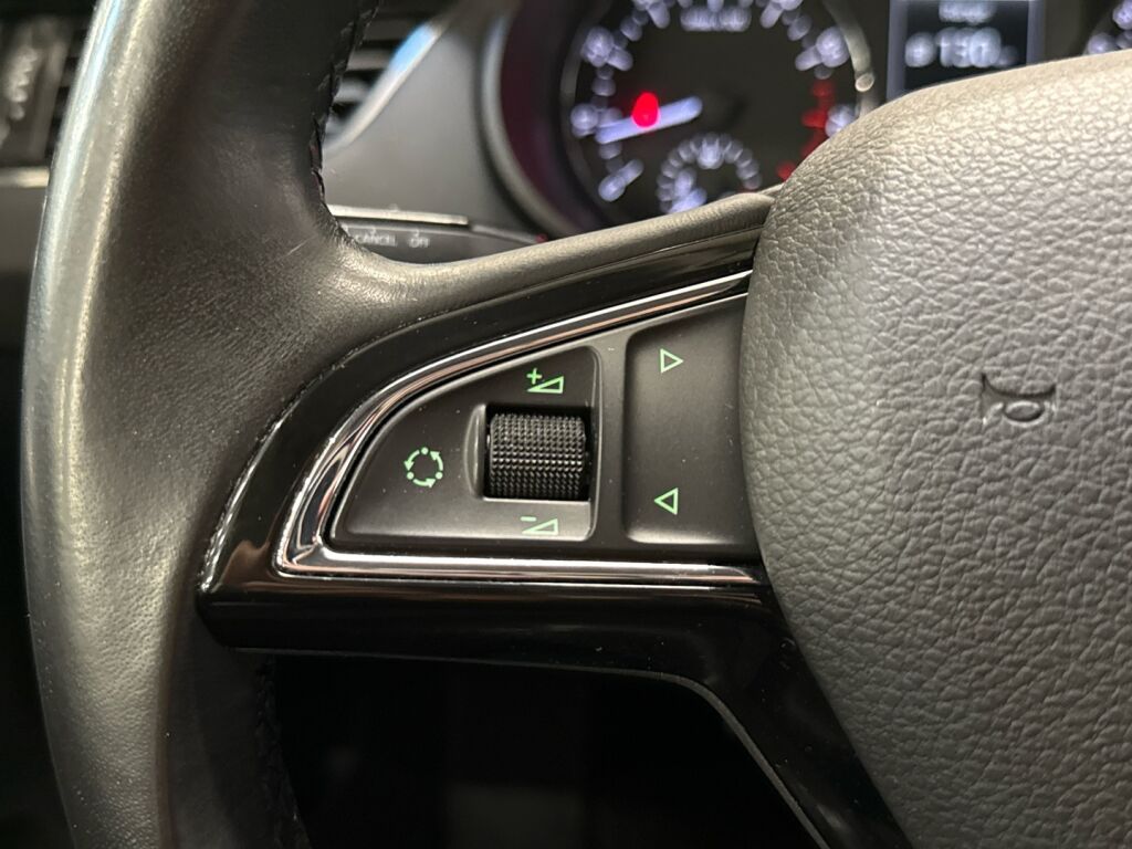 Skoda Octavia 2014 Ruskea (beige)