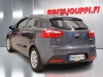 Kia Rio 2015 Harmaa