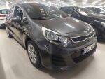 Kia Rio 2015 Harmaa