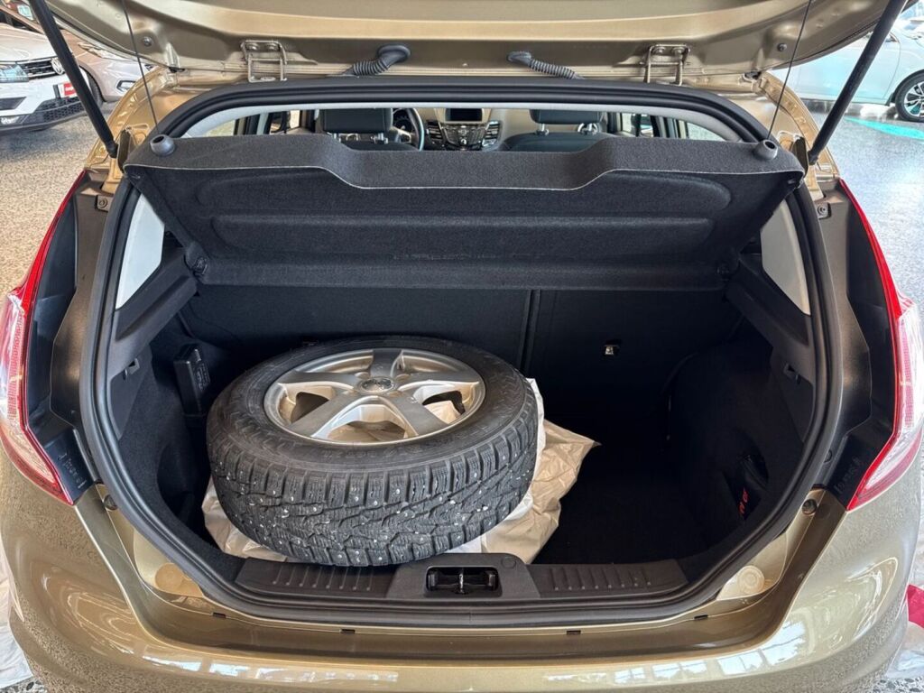 Ford Fiesta 2015 Ruskea (beige)