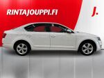 Skoda Octavia 2015 Valkoinen