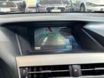 Lexus RX 2010 Harmaa