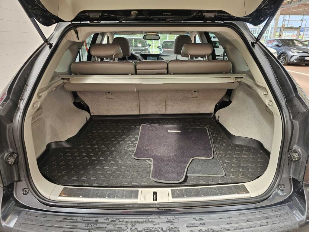 Lexus RX 2010 Harmaa