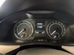 Skoda Scala 2019 Metallinhohto Hopea
