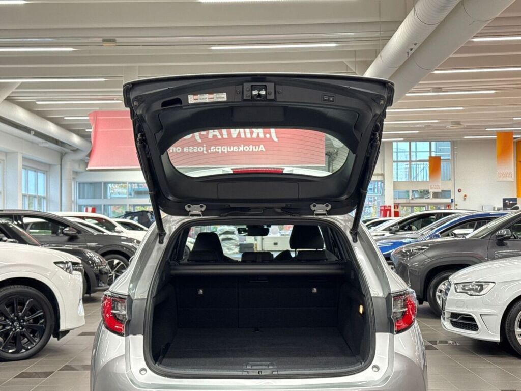 Toyota Corolla 2019 Hopea