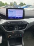 Ford Focus 2019 Valkoinen