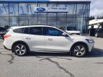 Ford Focus 2019 Valkoinen