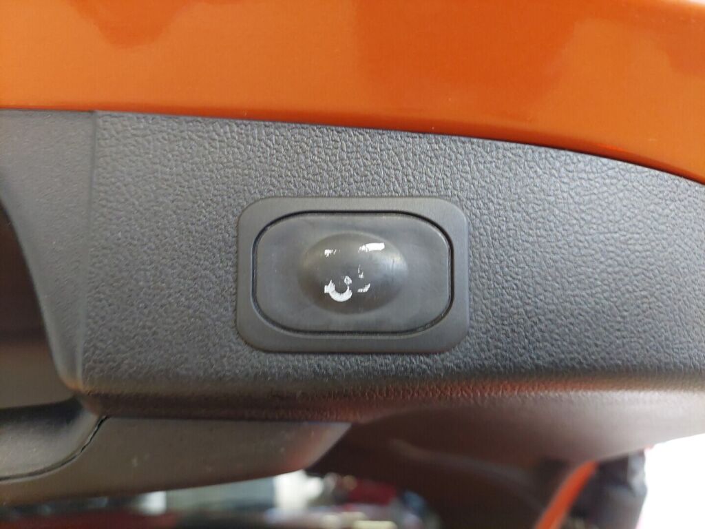 Ford Focus 2019 Punainen