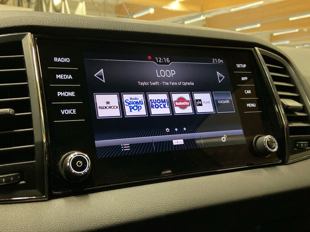 Skoda Karoq 2019 Harmaa