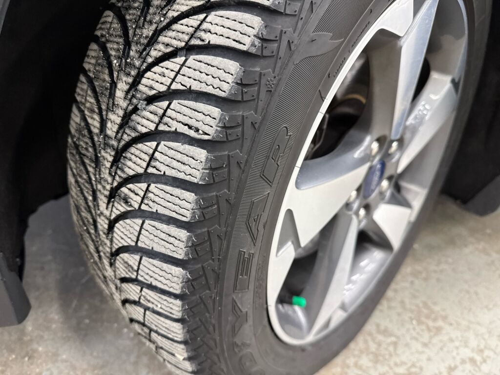 Ford Focus 2019 Valkoinen