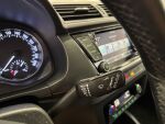 Skoda Fabia 2015 Ruskea (beige)