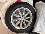 Skoda Octavia 2017 Ruskea (beige)