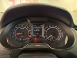 Skoda Octavia 2017 Ruskea (beige)