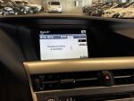Lexus RX 2009 Hopea