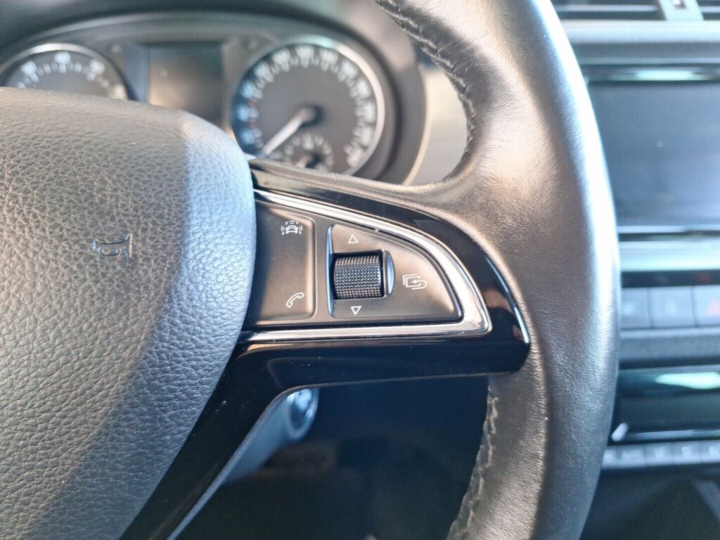 Skoda Fabia 2017 Ruskea (beige)