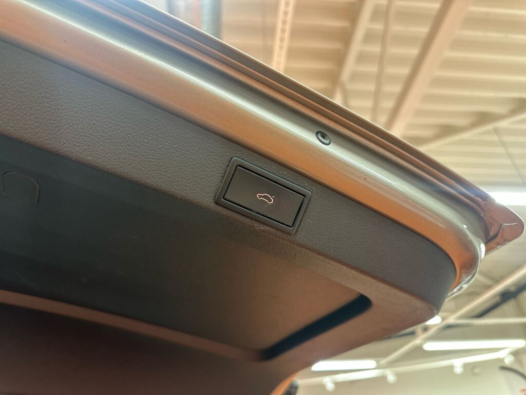 Skoda Octavia 2017 Ruskea (beige)