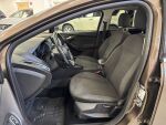 Ford Focus 2017 Ruskea (beige)