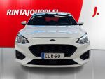 Ford Focus 2019 Valkoinen