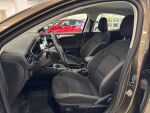 Ford Focus 2018 Ruskea (beige)