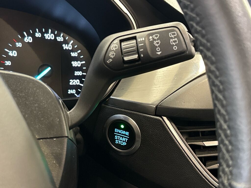 Ford Focus 2019 Valkoinen