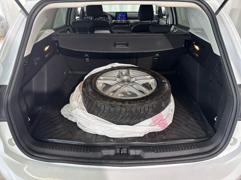 Ford Focus 2019 Valkoinen