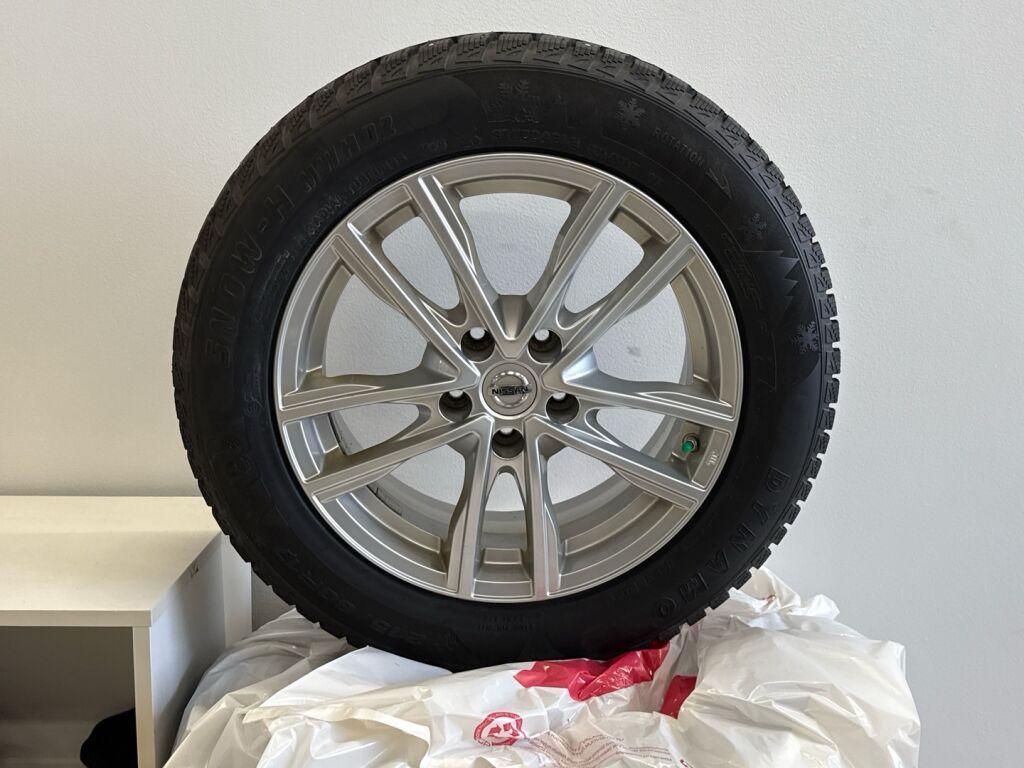 Nissan Qashqai 2019 Hopea